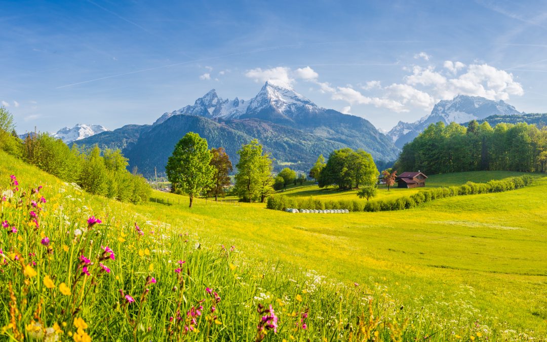 Montagne : Pensez aux séminaires verts ?